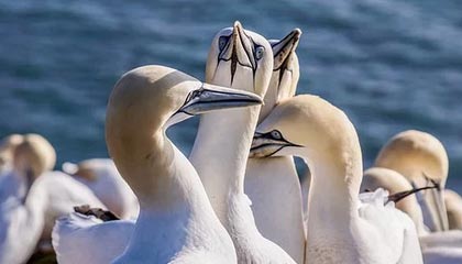 开云竞猜官网-前国足主帅李铁被判20年，涉多项罪名，李铁出任国足新帅