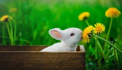 开云竞猜官网-前国足主帅李铁被判20年，涉多项罪名，李铁出任国足新帅