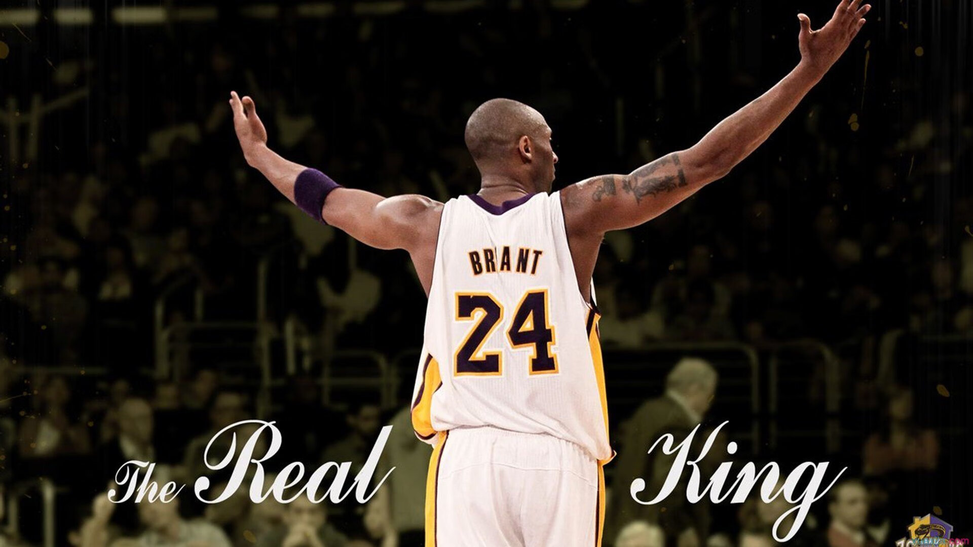 伊朗骑手卡尔·阿里·阿尔达比在巴黎奥运会后成为马术协会主席，推动马术运动发展。